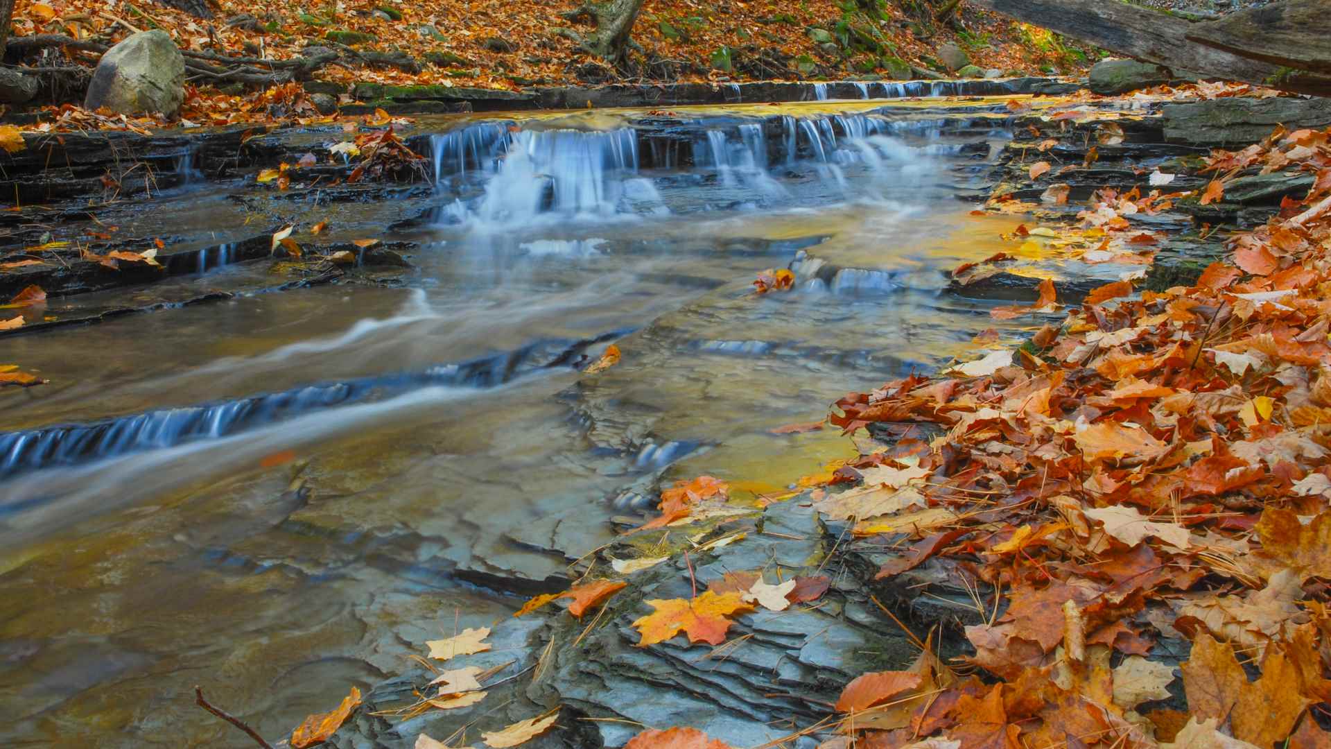 Meditation Retreats in the Finger Lakes of New York - Springwater Center